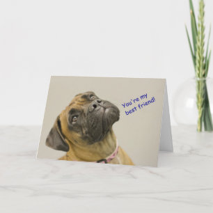 Tarjeta Boxer de Cumpleaños