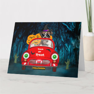 Tarjeta Boxer Dog Drin Car Sasuy Halloween