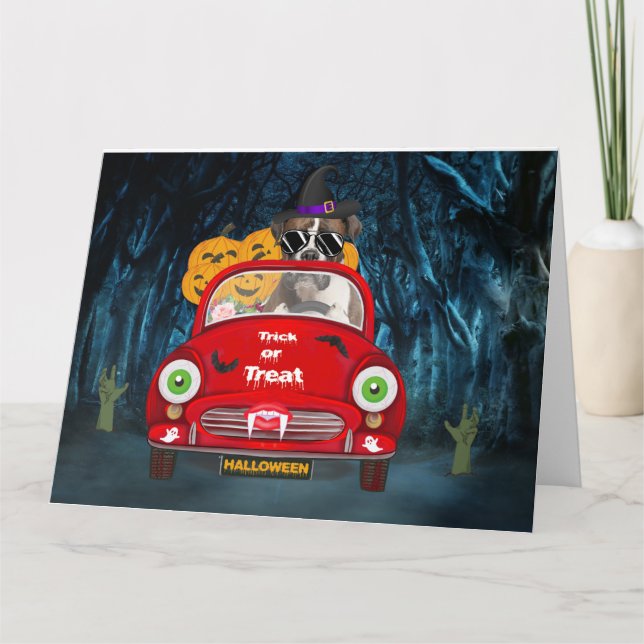 Tarjeta Boxer Dog Drin Car Sasuy Halloween (Anverso)
