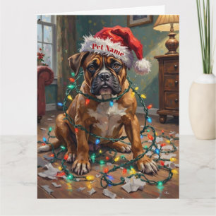 Tarjeta Boxer Enredado en Luces de Navidad Sombrero Culpab