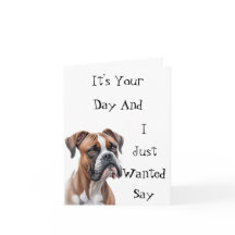 Boxer es tu cumpleaños