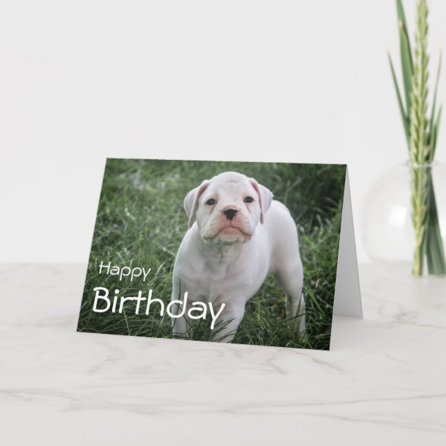Tarjeta Boxer Happy Birday (Anverso)