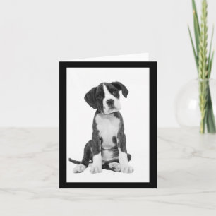 Tarjeta Boxer Puppy Dog Blank Note Card