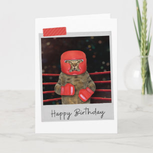 Tarjeta Boxing Cat Funny Birday Card