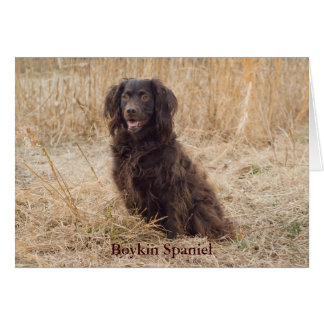 Tarjeta Boykin Spaniel