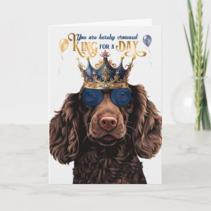 Tarjeta Boykin Spaniel Dog King por día cumpleaños gracios