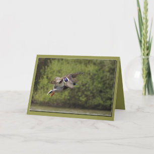 Tarjeta Brace of Ducks