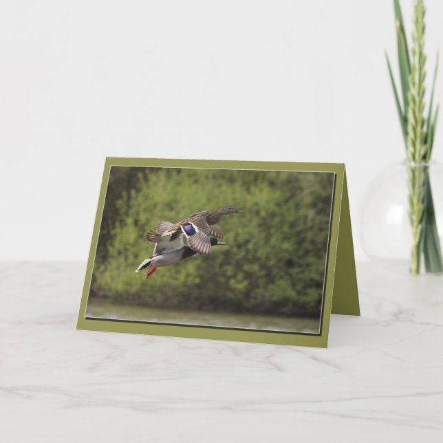 Tarjeta Brace of Ducks (Anverso)