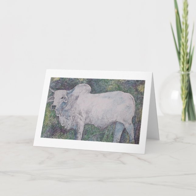TARJETA BRAHMA BULL (Anverso)