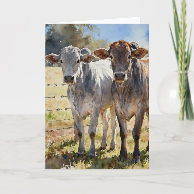 Tarjeta Brahman Heifers In Watercolors (Anverso)