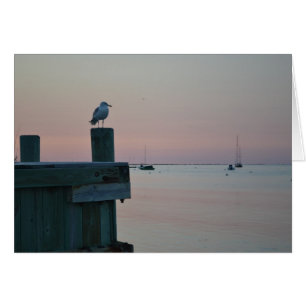 Tarjeta Brant Point