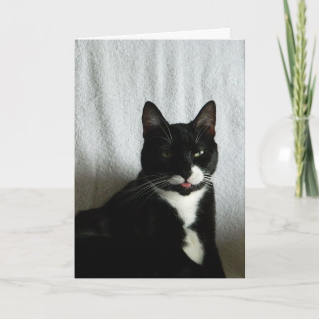 Tarjeta Brat Cat Razzberry Cumpleaños (Anverso)