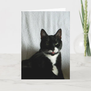 Tarjeta Brat Cat Razzberry Cumpleaños