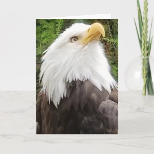 Tarjeta Brave Eagle Greeting Card (Anverso)