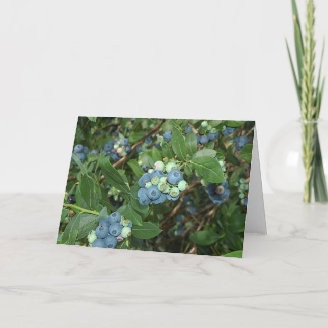 Tarjeta Brays Blueberries Greene County Indiana (Anverso)