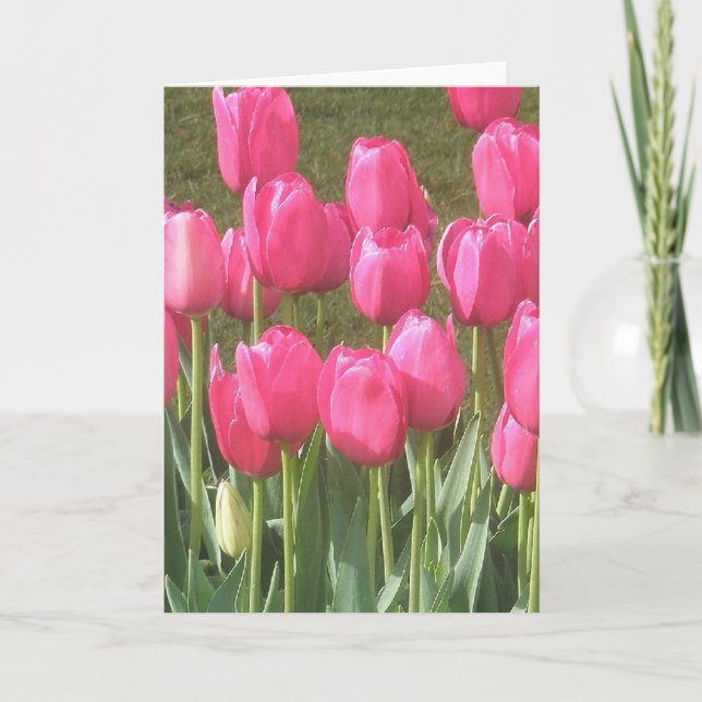 Tarjeta Bright Pink Tulip Garden (Anverso)