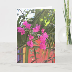 Tarjeta Brillante Bougainvillea