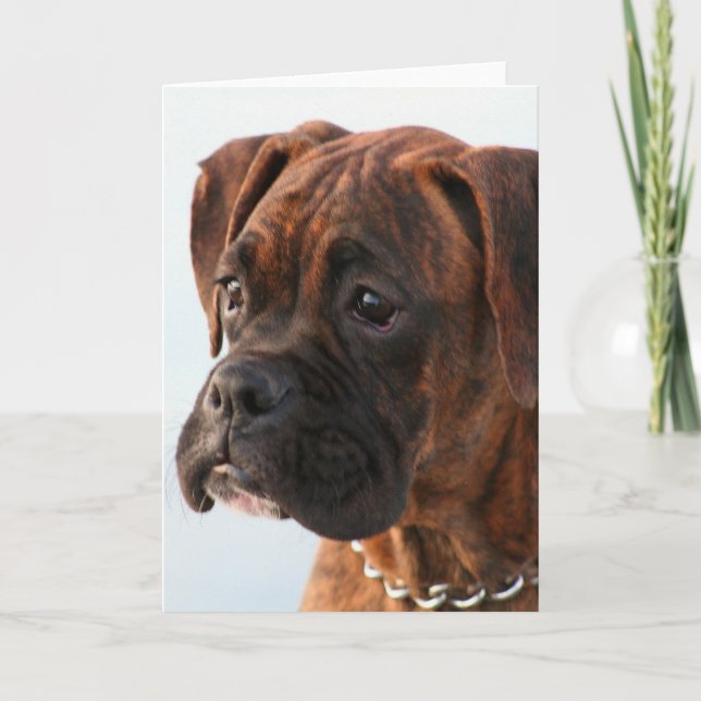 Tarjeta Brindle boxer puppy greeting card (Anverso)