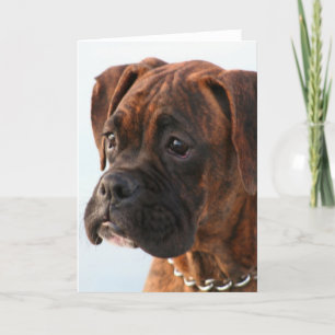 Tarjeta Brindle boxer puppy greeting card