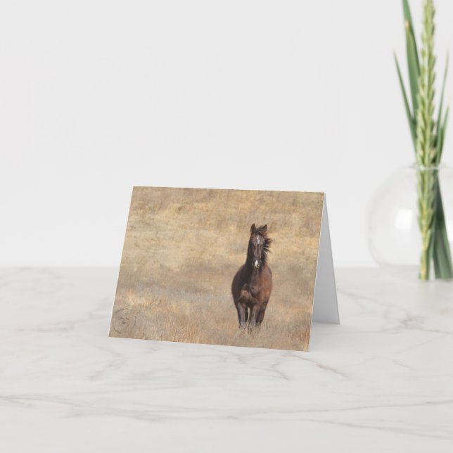 Tarjeta Brisa solar (Anverso)