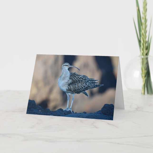 Tarjeta Bristol (Anverso)