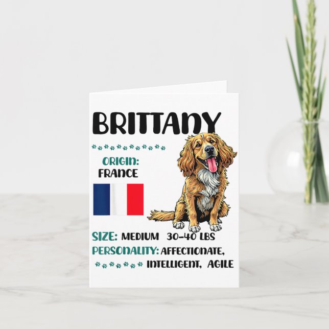 Tarjeta Brittany Origin Funny Brittany Dog Lover  (Anverso)