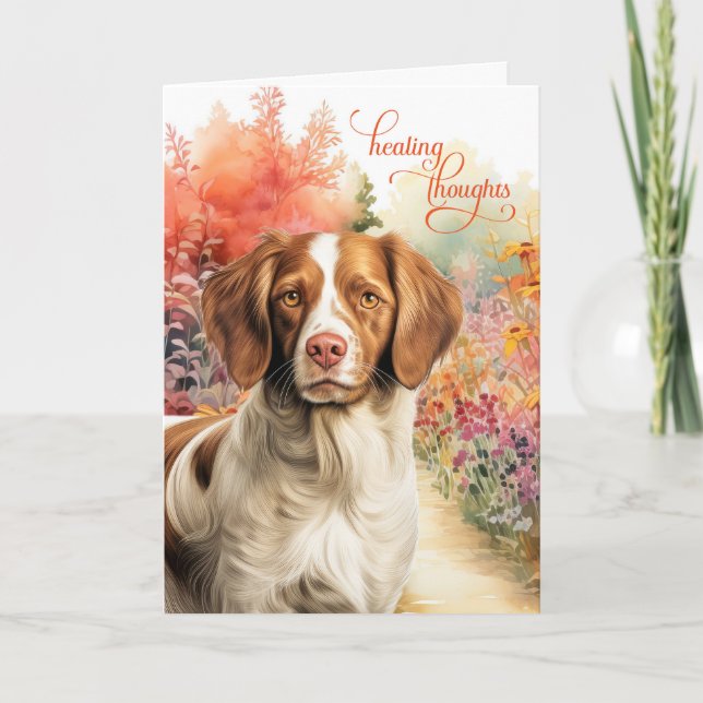 Tarjeta Brittany Spaniel Dog Colorful Garden Path Get Well (Anverso)