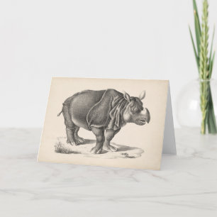 Tarjeta Brodtmann Rhinoceros Sketch