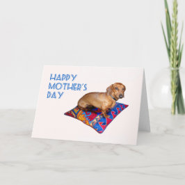 Tarjeta Broncee el amortiguador oriental del Dachshund, el