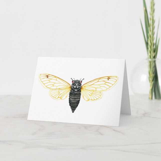 Tarjeta Brood X Cicada Periódica A 17 Años (Anverso)