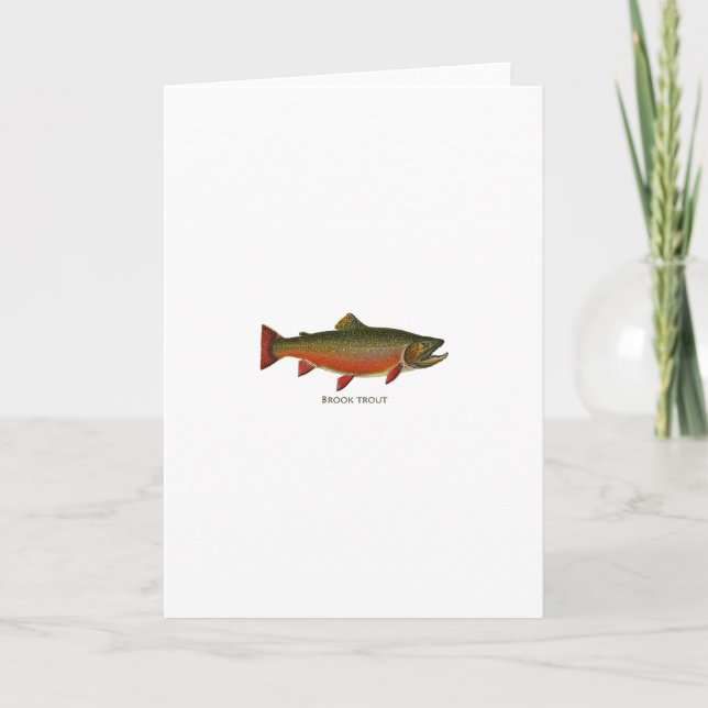 Tarjeta Brook Trout Male (Fase de desove) (Anverso)
