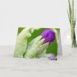 Tarjeta Brote de la primavera
