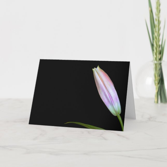 Tarjeta Brote del lirio del Stargazer (Anverso)