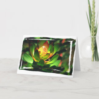 Tarjeta Brote suculento