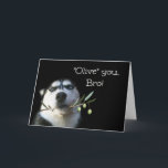 Tarjeta Brother Happy Birday Card Funny<br><div class="desc">Esta es una linda tarjeta de cumpleaños feliz para tu hermano.  Un hermoso Husky con una rama de olivo.  ¡Dile a tu hermano,  "Olivo" (te amo) en su cumpleaños!</div>