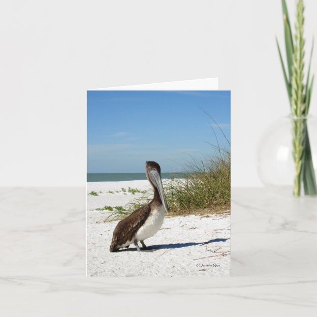 Tarjeta Brown Pelican Notecard (Anverso)