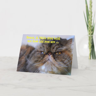 Tarjeta Bruce Happy Birthday Humor Calico Persian Kitty