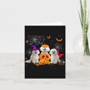Tarjeta Bruja de calabaza divertida perro Bichon Frise Hal