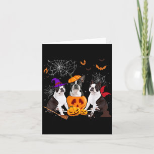 Tarjeta Bruja de calabaza divertida perro Boston Terrier H