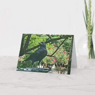 Tarjeta BT- Funy Crow Birday Card