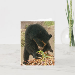 Tarjeta Bubu Notecard PB1