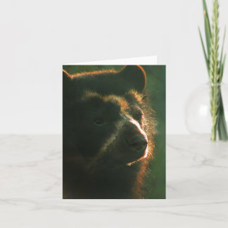 Tarjeta Bubu Notecard PB2