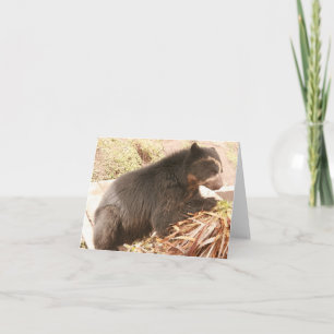 Tarjeta Bubu Notecard PB4