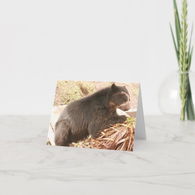 Tarjeta Bubu Notecard PB4 (Anverso)