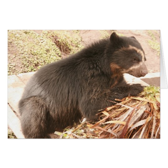 Tarjeta Bubu Notecard PB4
