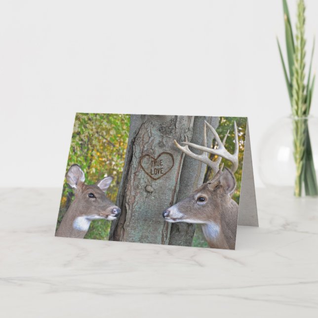 Tarjeta buck and doe with heart on tree (Anverso)