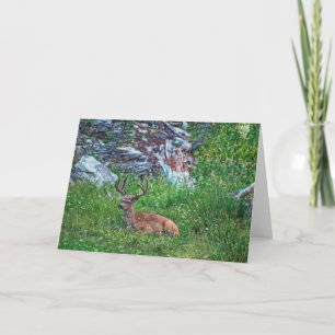 Tarjeta Buck de cama