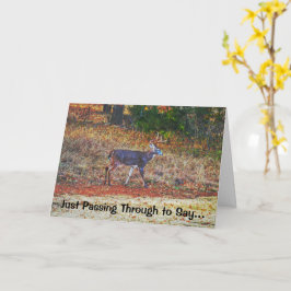 Tarjeta Buck Deer Art Pun Funny Birday Card
