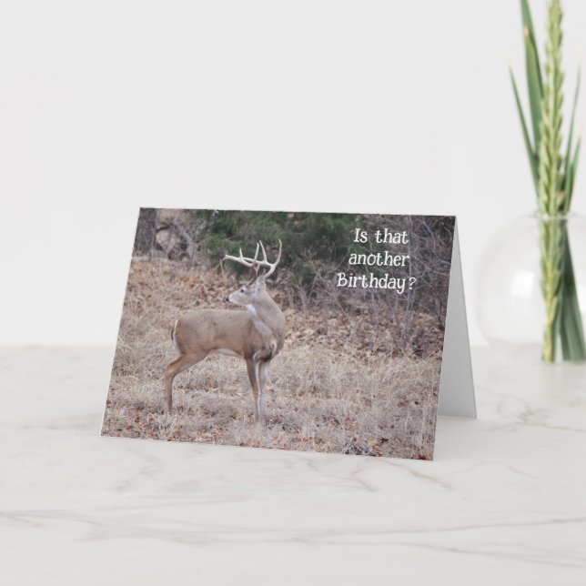 Tarjeta Buck Deer Hunter Deer Lover Fun Birday Card (Anverso)