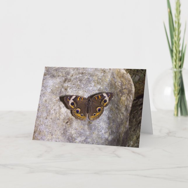 Tarjeta Buckeye Butterfly Card (Anverso)